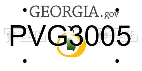 PVG3005 Georgia License Plate