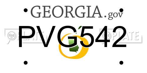 PVG542 Georgia License Plate