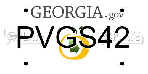 PVGS42 Georgia License Plate