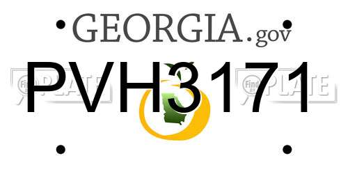 PVH3171 Georgia License Plate