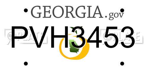 PVH3453 Georgia License Plate