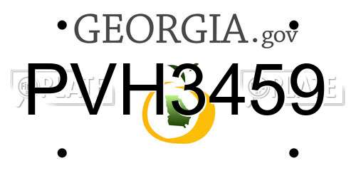 PVH3459 Georgia License Plate