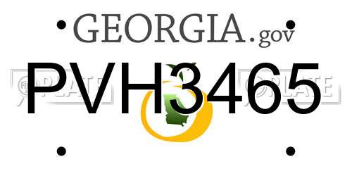 PVH3465 Georgia License Plate