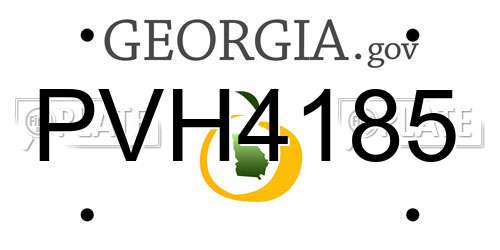 PVH4185 Georgia License Plate