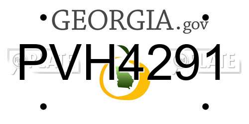 PVH4291 Georgia License Plate