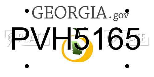 PVH5165 Georgia License Plate