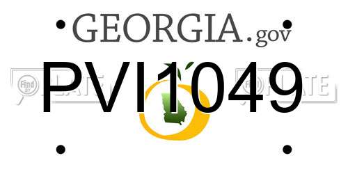 PVI1049 Georgia License Plate