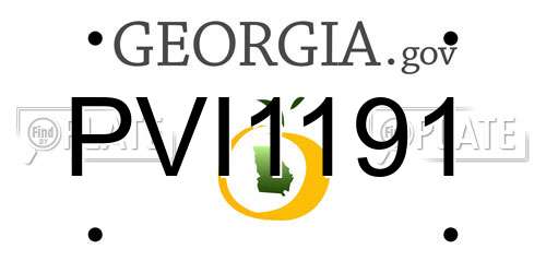 PVI1191 Georgia License Plate