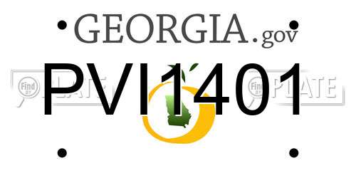 PVI1401 Georgia License Plate