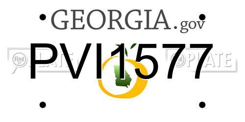 PVI1577 Georgia License Plate