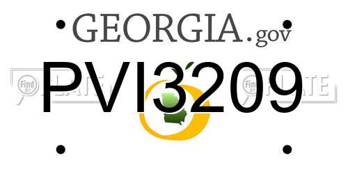 PVI3209 Georgia License Plate