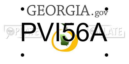 PVI56A Georgia License Plate