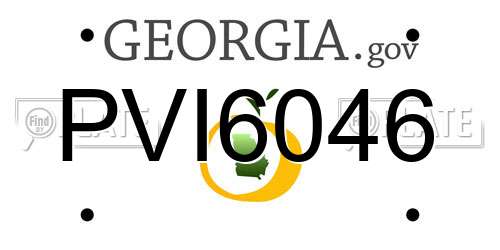PVI6046 Georgia License Plate