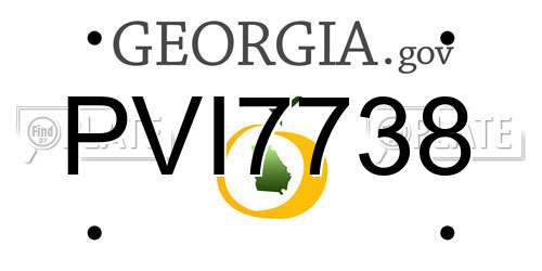 PVI7738 Georgia License Plate