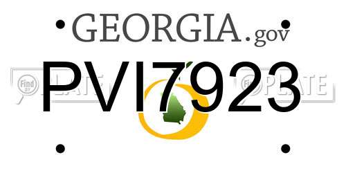 PVI7923 Georgia License Plate