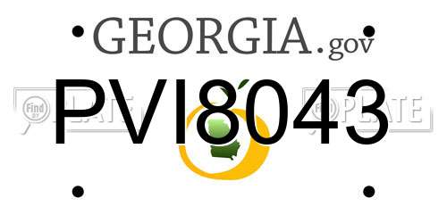 PVI8043 Georgia License Plate