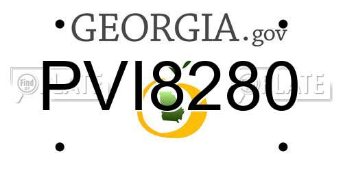 PVI8280 Georgia License Plate