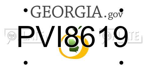 PVI8619 Georgia License Plate