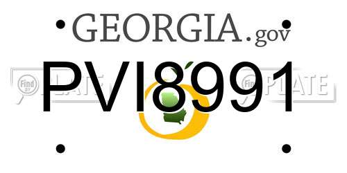 PVI8991 Georgia License Plate