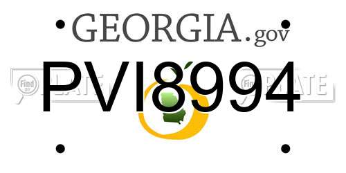 PVI8994 Georgia License Plate