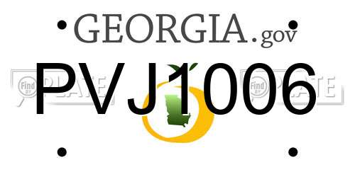 PVJ1006 Georgia License Plate