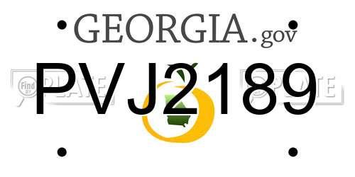 PVJ2189 Georgia License Plate
