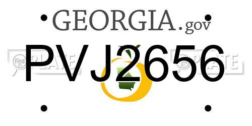 PVJ2656 Georgia License Plate