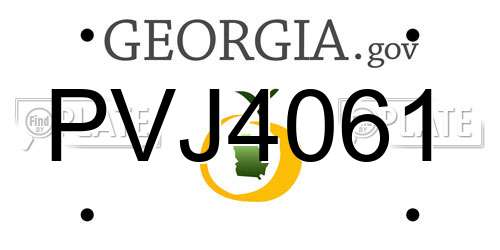 PVJ4061 Georgia License Plate