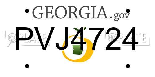 PVJ4724 Georgia License Plate