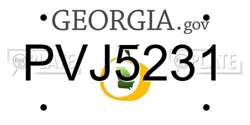 PVJ5231 Georgia License Plate