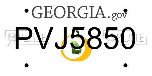 PVJ5850 Georgia License Plate