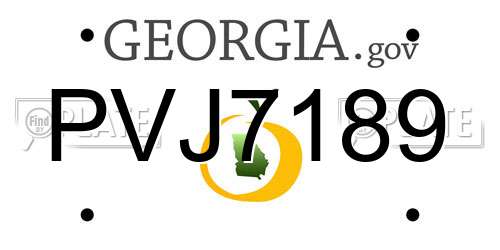 PVJ7189 Georgia License Plate
