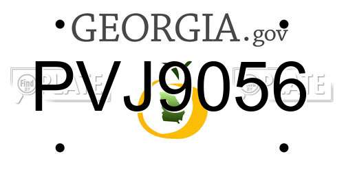PVJ9056 Georgia License Plate