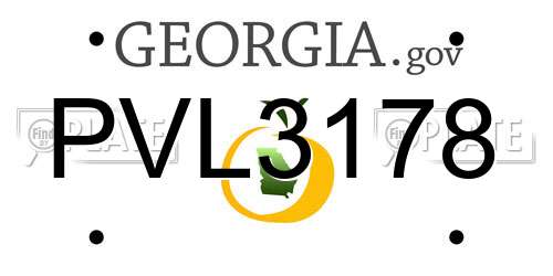 PVL3178 Georgia License Plate
