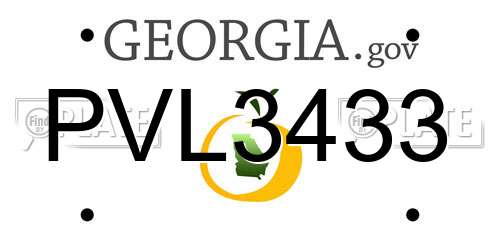 PVL3433 Georgia License Plate