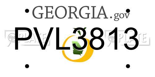 PVL3813 Georgia License Plate