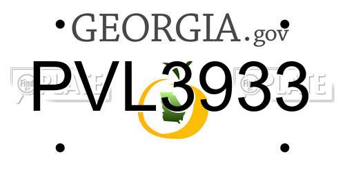 PVL3933 Georgia License Plate