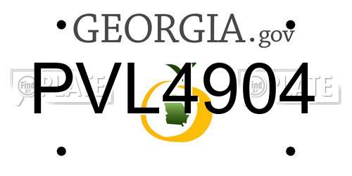 PVL4904 Georgia License Plate