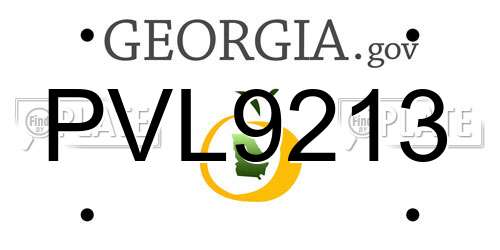 PVL9213 Georgia License Plate