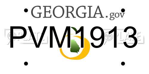 PVM1913 Georgia License Plate