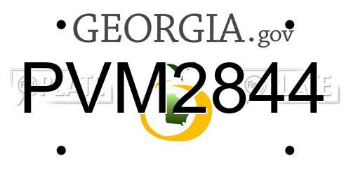 PVM2844 Georgia License Plate