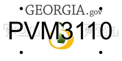 PVM3110 Georgia License Plate