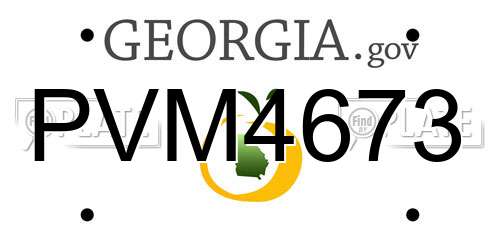 PVM4673 Georgia License Plate