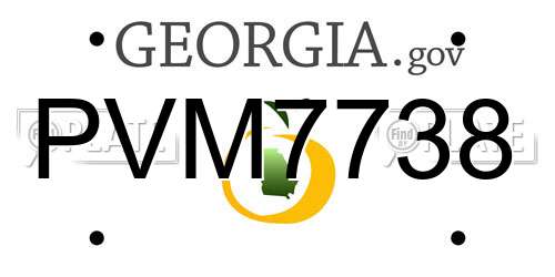 PVM7738 Georgia License Plate