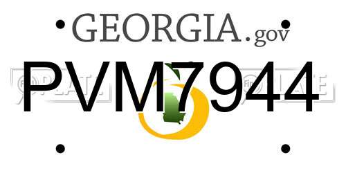PVM7944 Georgia License Plate