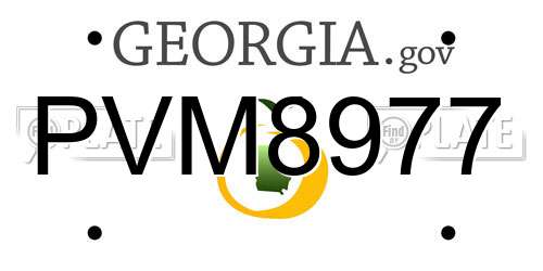 PVM8977 Georgia License Plate