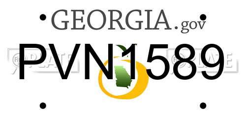 PVN1589 Georgia License Plate