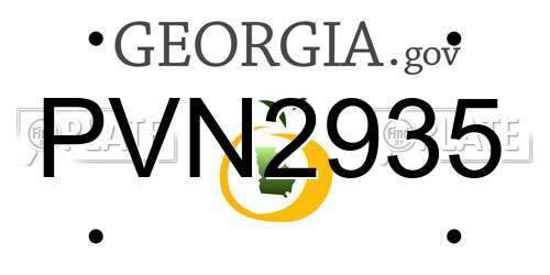 PVN2935 Georgia License Plate