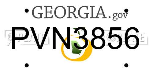 PVN3856 Georgia License Plate