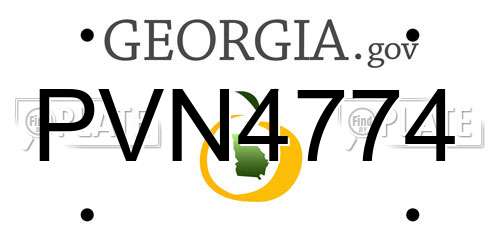PVN4774 Georgia License Plate